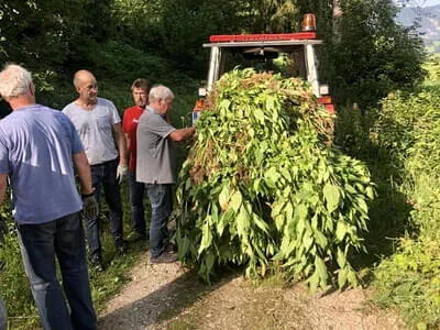 Aktion Springkrautvernichtung 2021 Bild 0